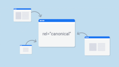 Canonical URL Nedir? 3 canonical url nedir